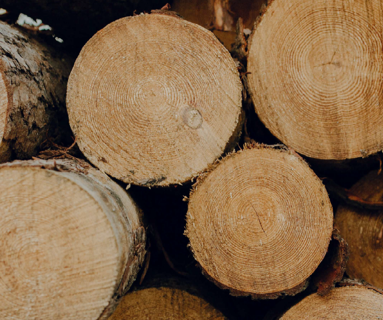 Treforedlingsindustrien – et historisk tilbakeblik