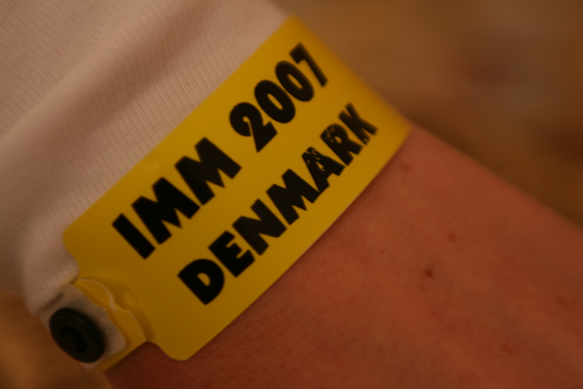 IMM 2007 (50).JPG