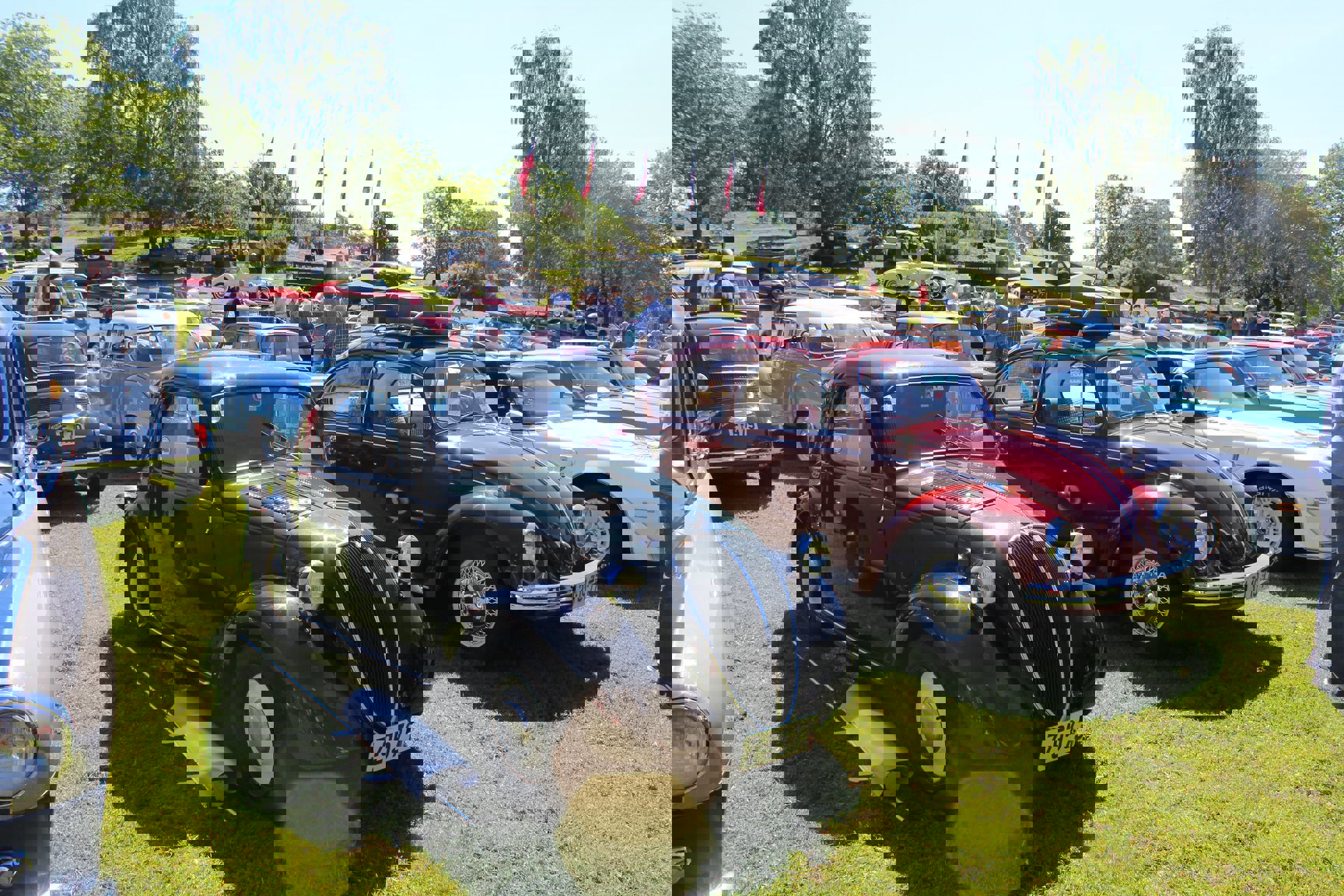 61711555_2169048146541637_5646335041509261312_o.jp