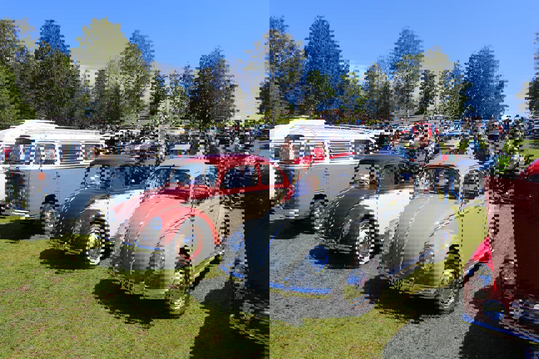 61816574_2169055483207570_558999283588661248_o.jpg