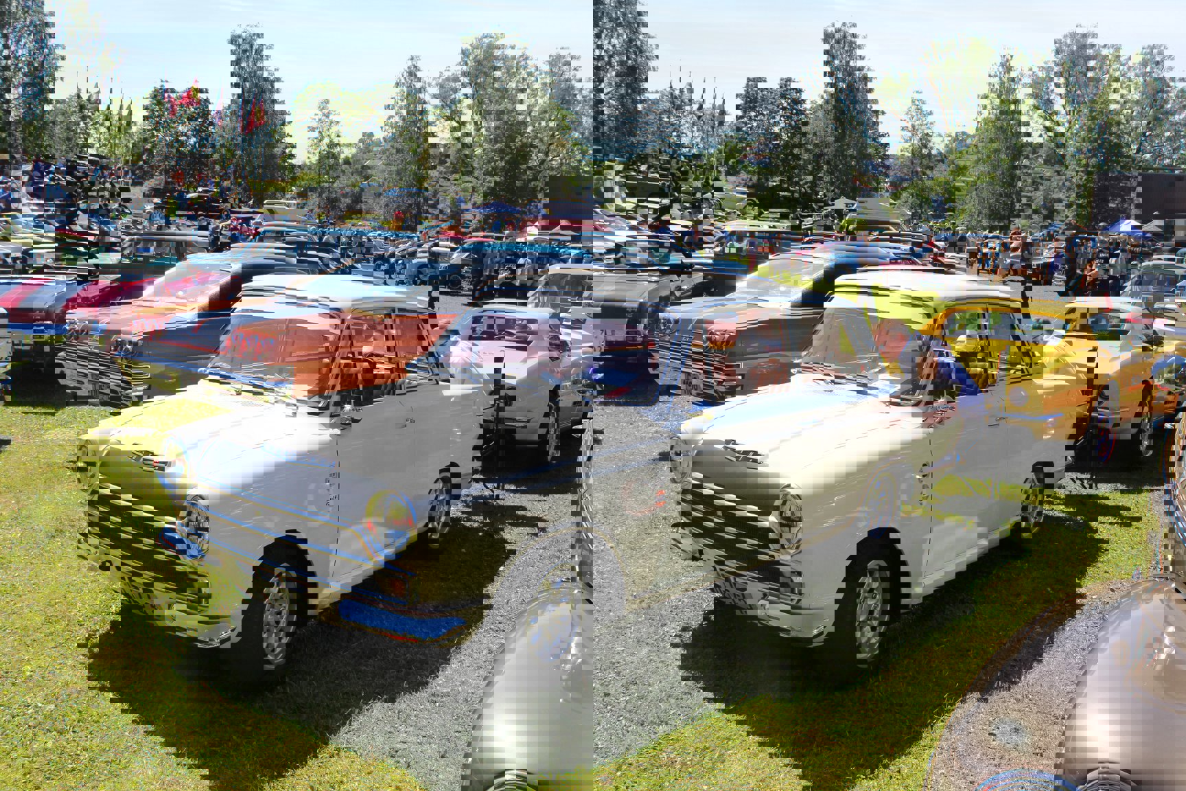 61915674_2169057763207342_6058755767119380480_o.jp