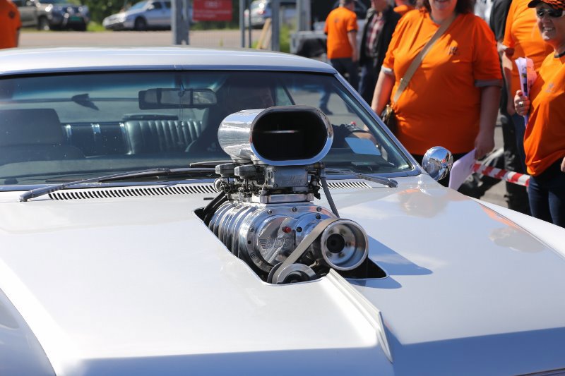 IMG_7781 (800x533).jpg