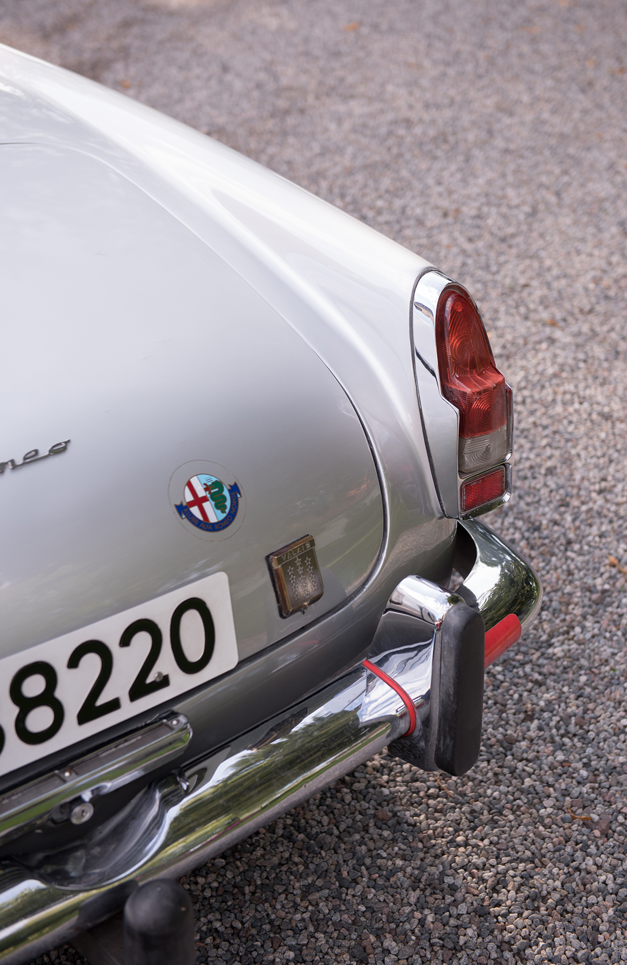 DSC_3637s.jpg