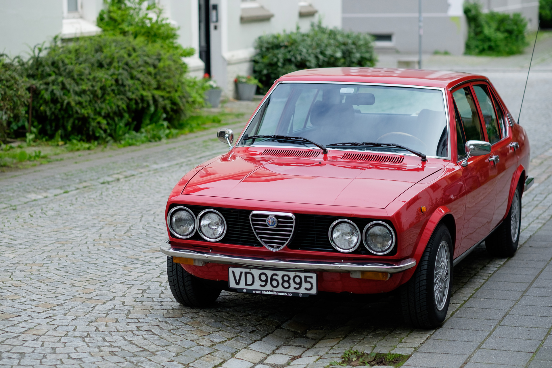 Alfetta_77-14.jpg