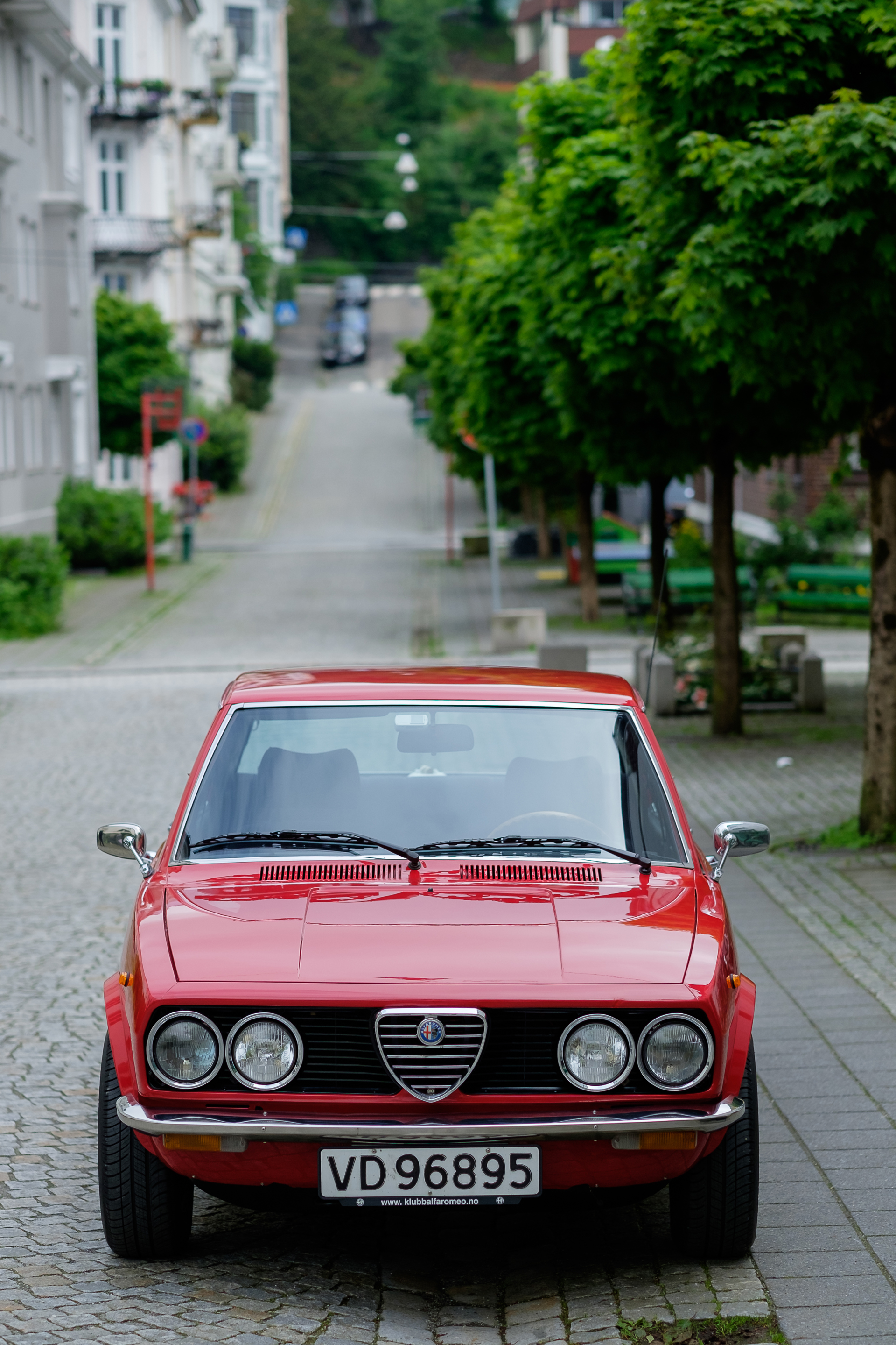 Alfetta_77-13.jpg
