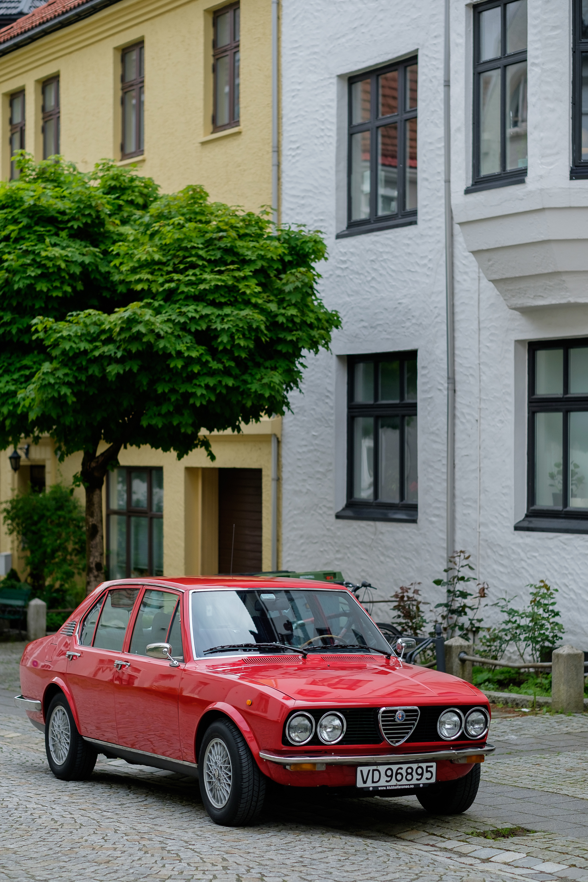 Alfetta_77-10.jpg