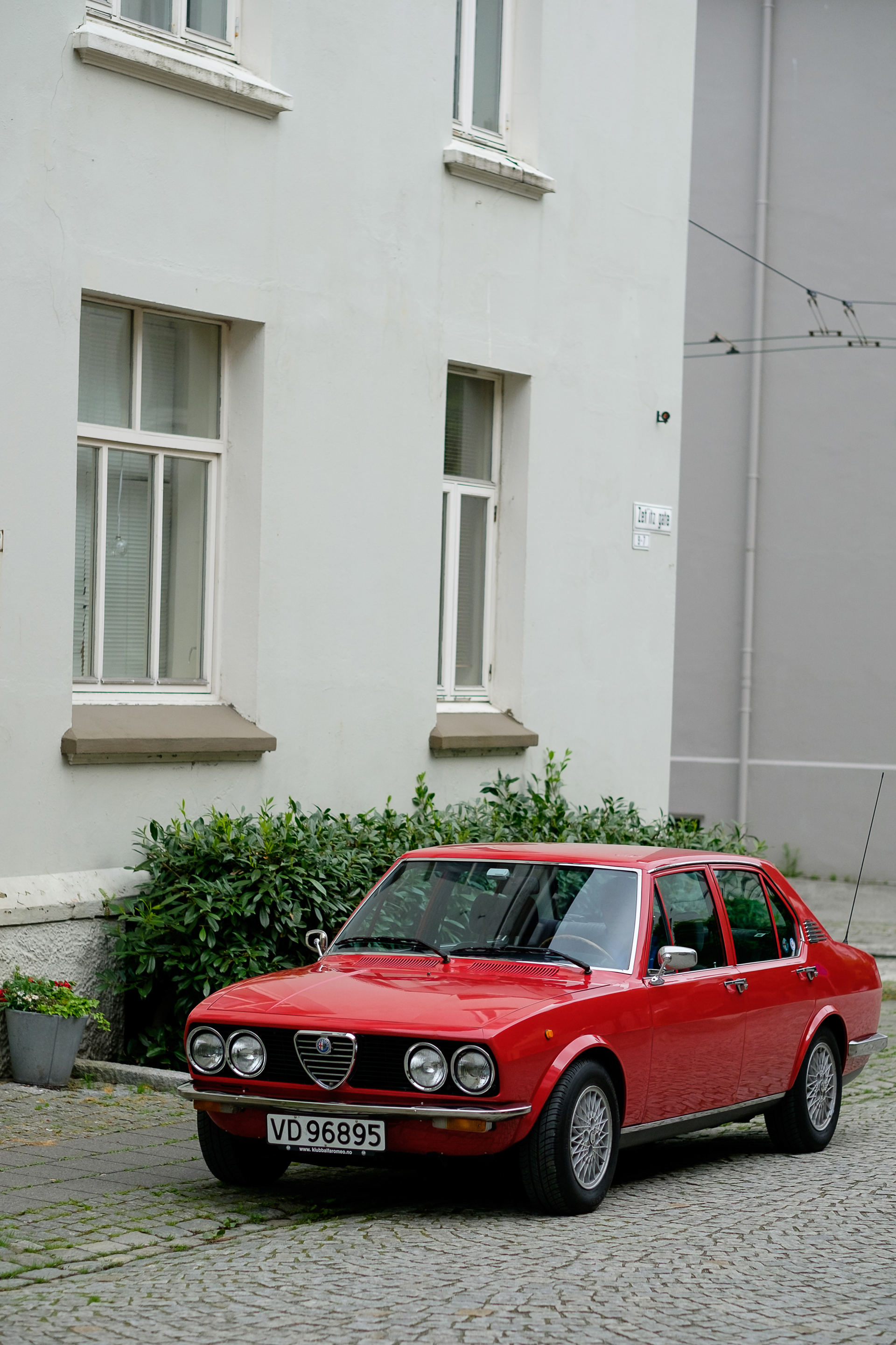 Alfetta_77-4.jpg