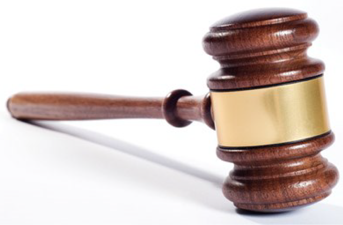 Ekstraordinært Landsmøte 2025