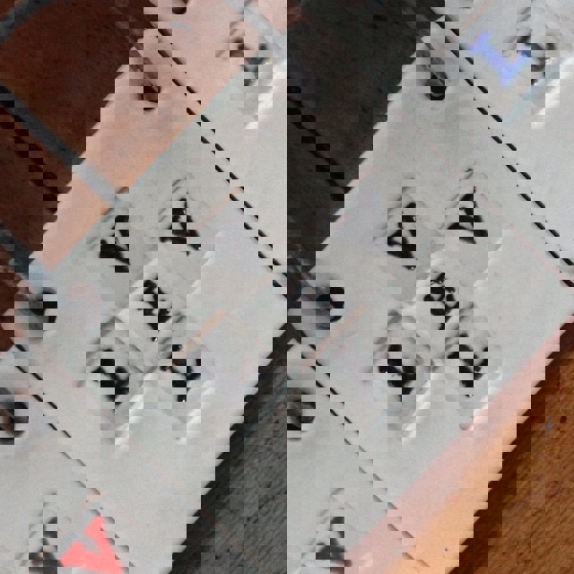 Oppgradering av lekeplass