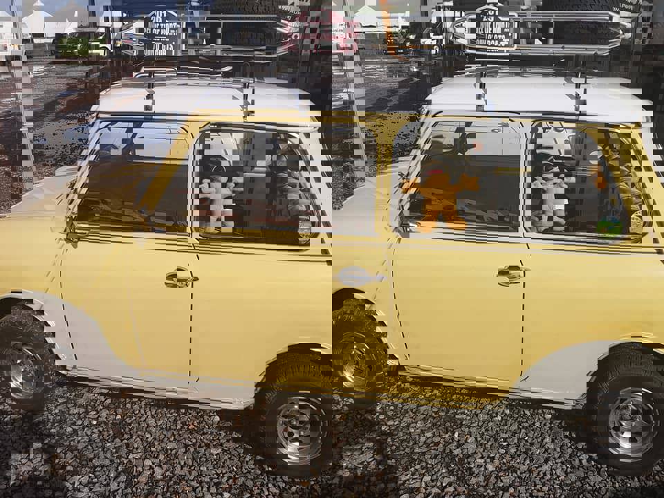 67737213_2444088419040544_9204208683054006272_n.jp