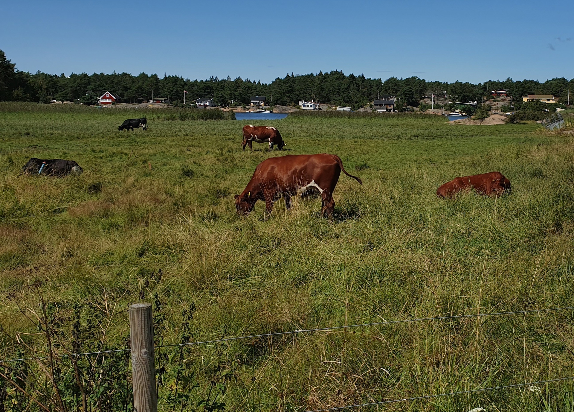 Del av veien er under utbedring