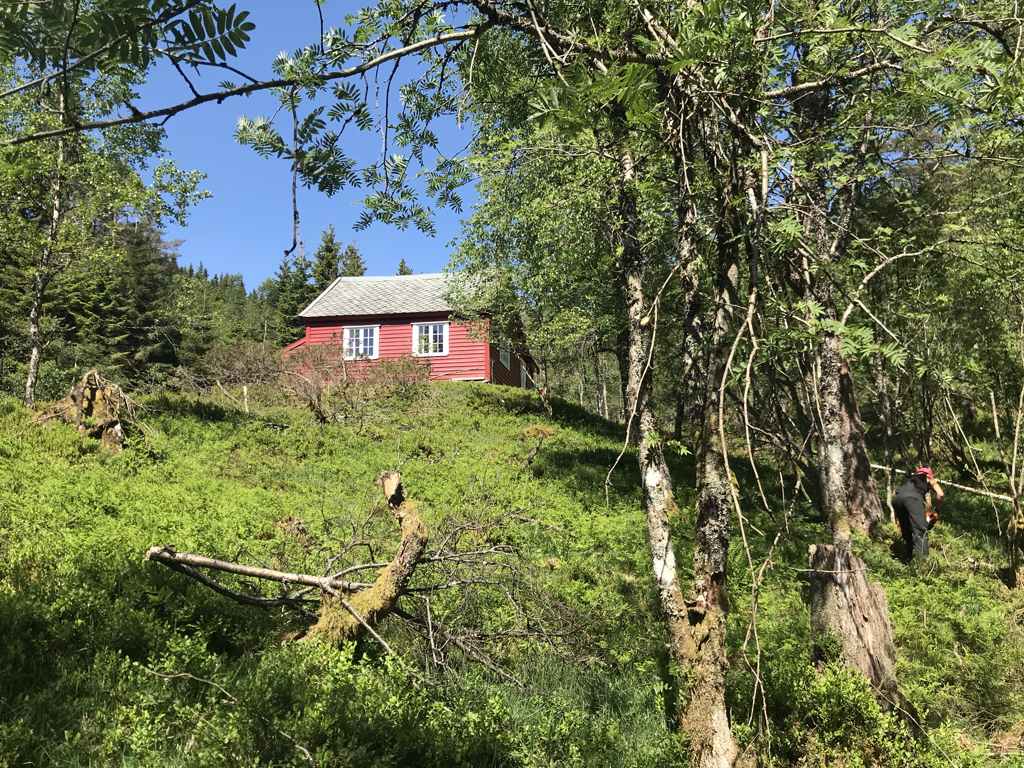 Velkomen til Steindalsetra! 