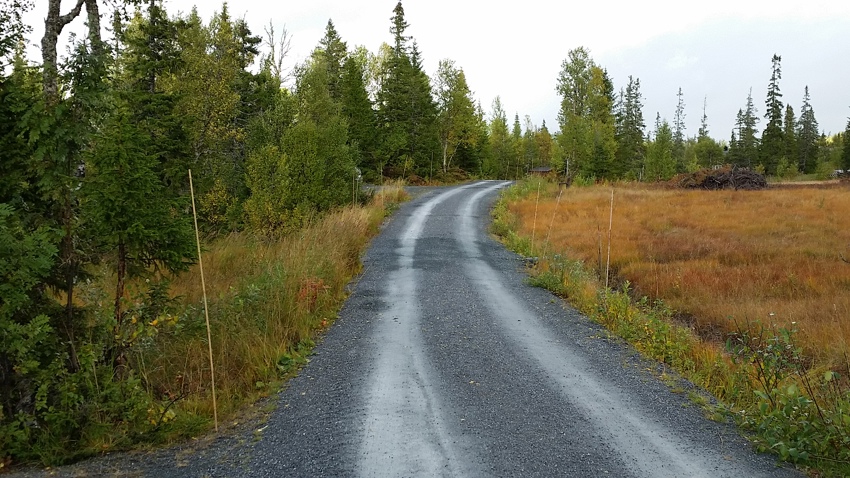 Nygruset vei
