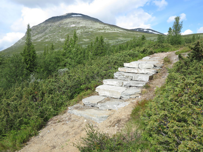 Skogshorn stigen åpnet