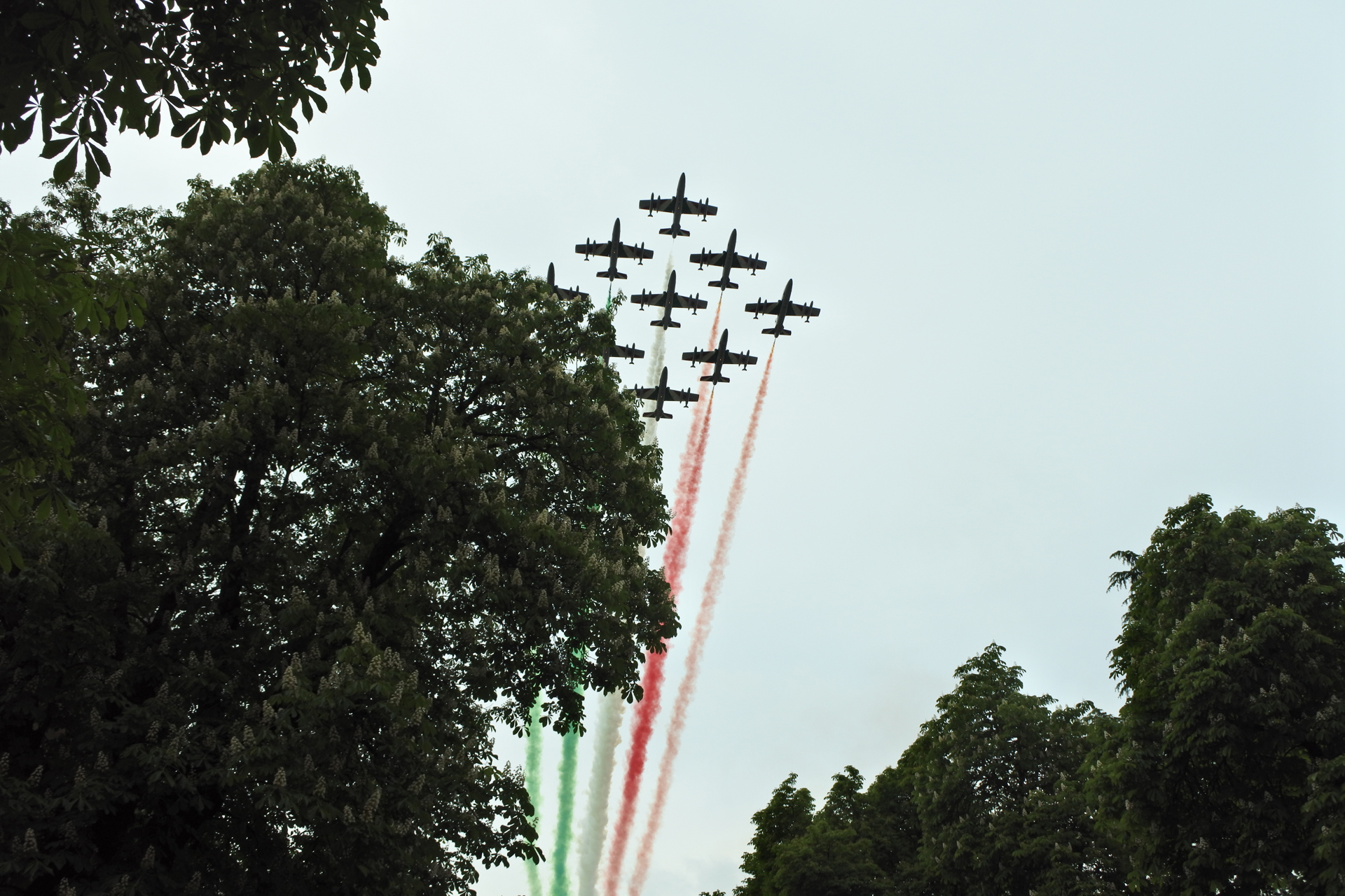 DSC_1953.JPG