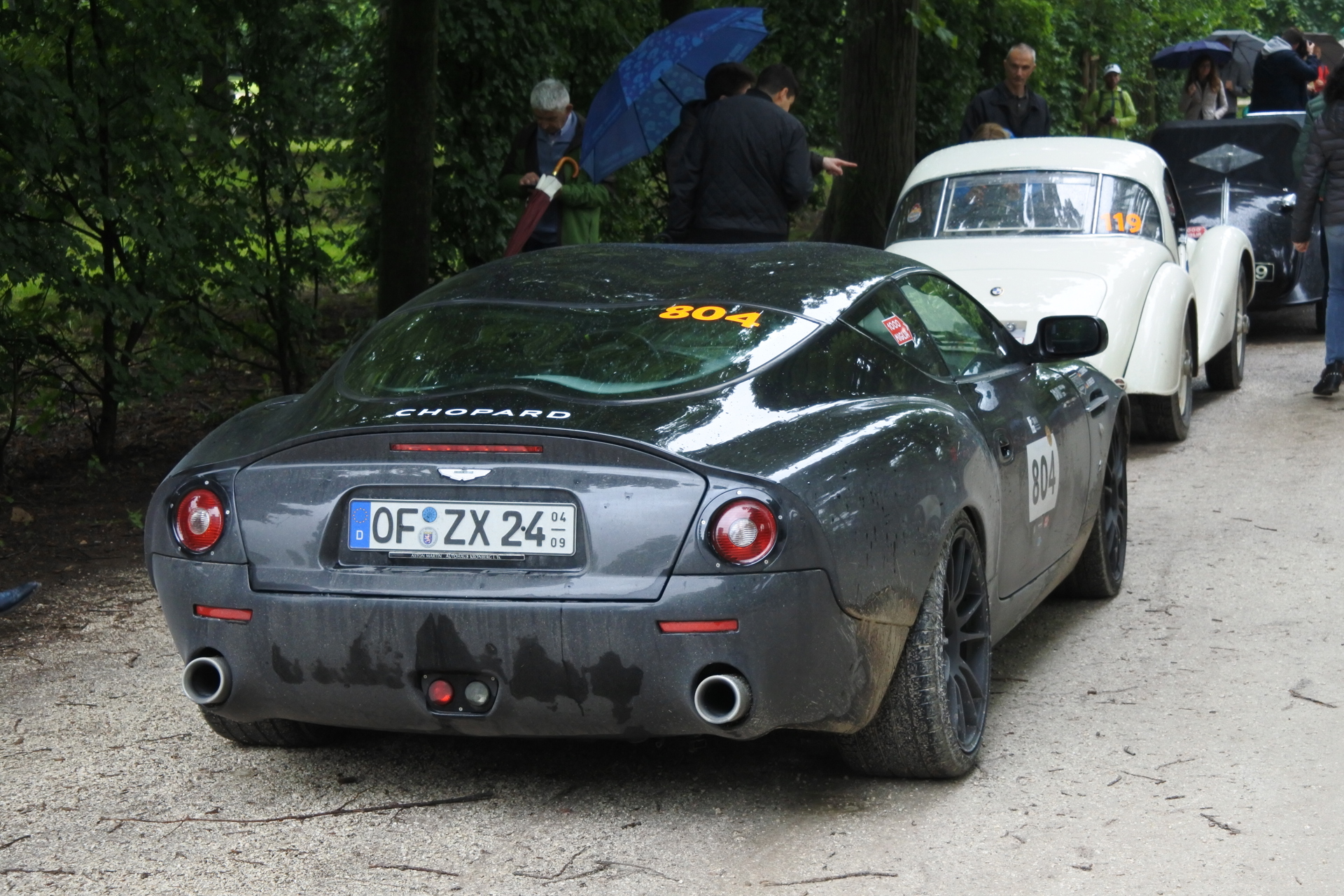 DSC_2499.JPG