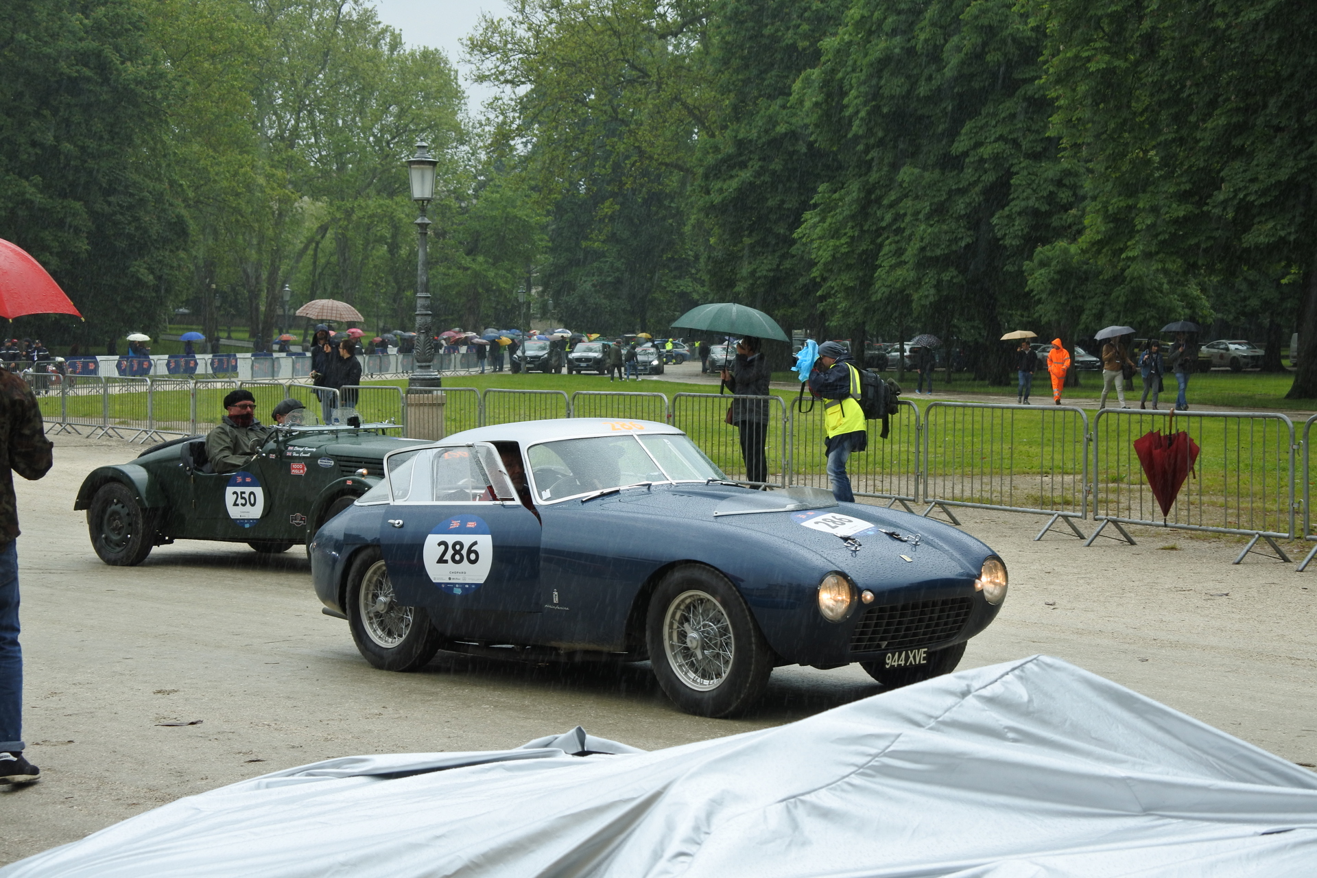 DSC_2552.JPG