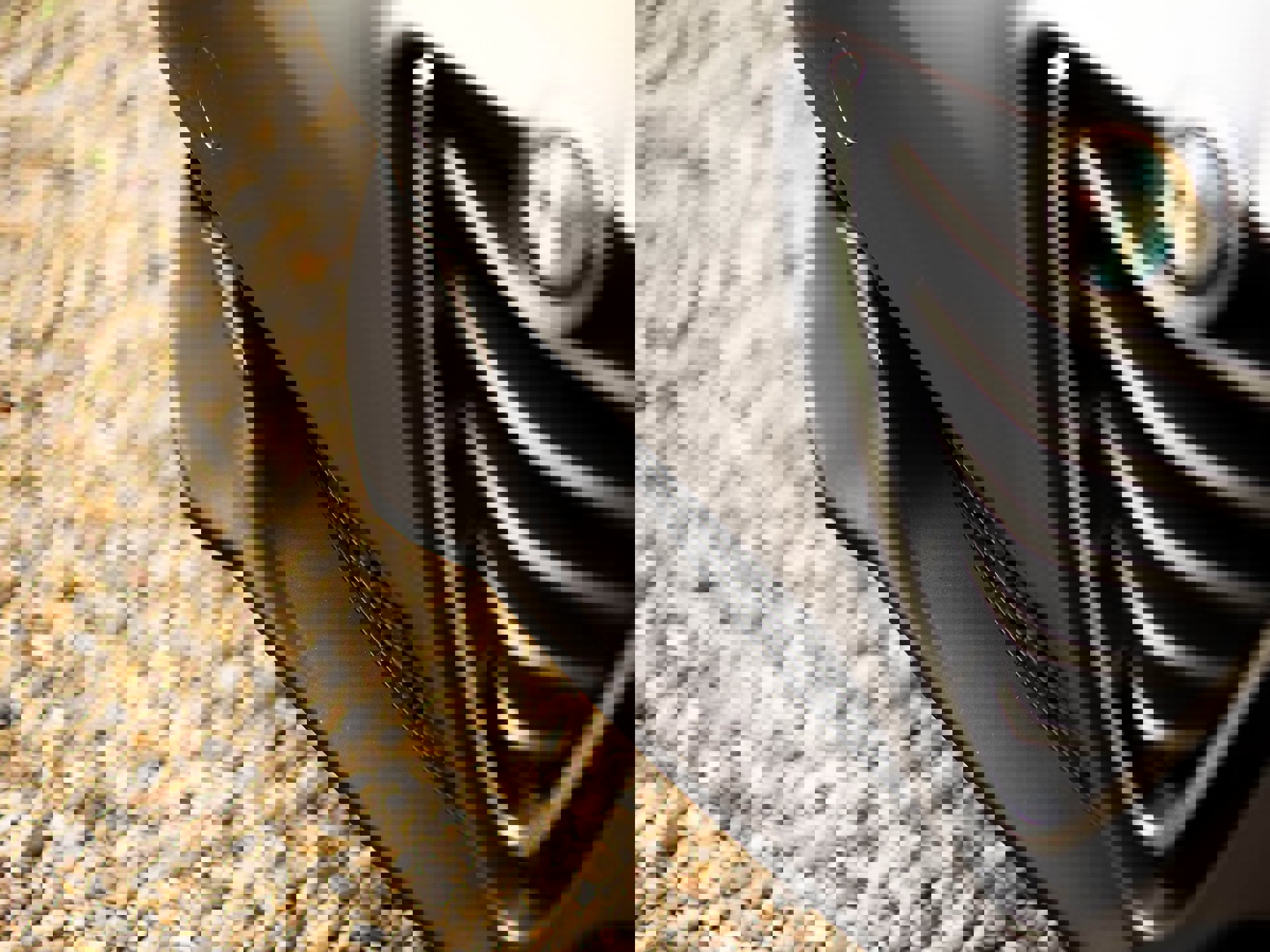 969514040_2667417656631293_4025330765280575488_o.j