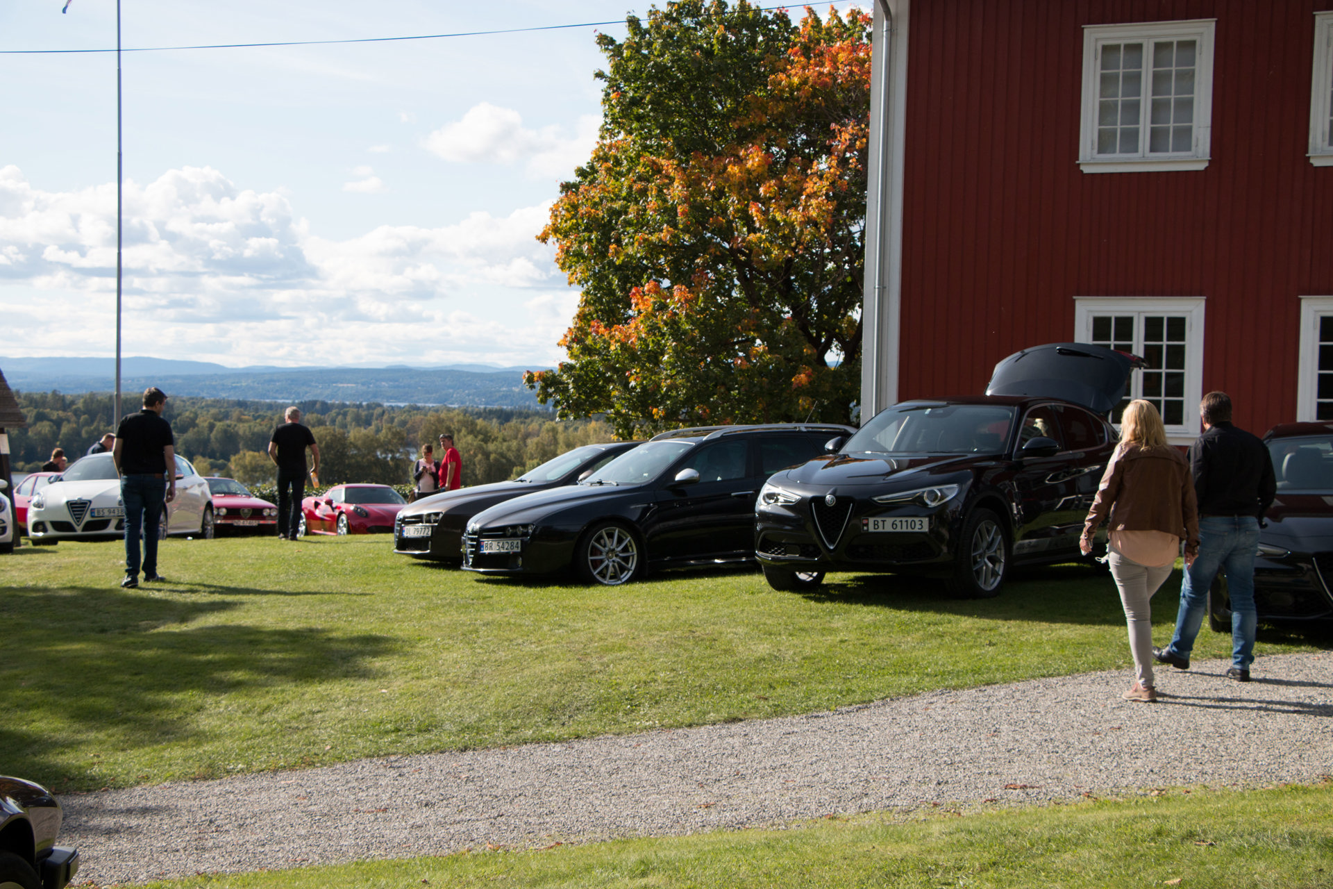 _MG_7981.jpg