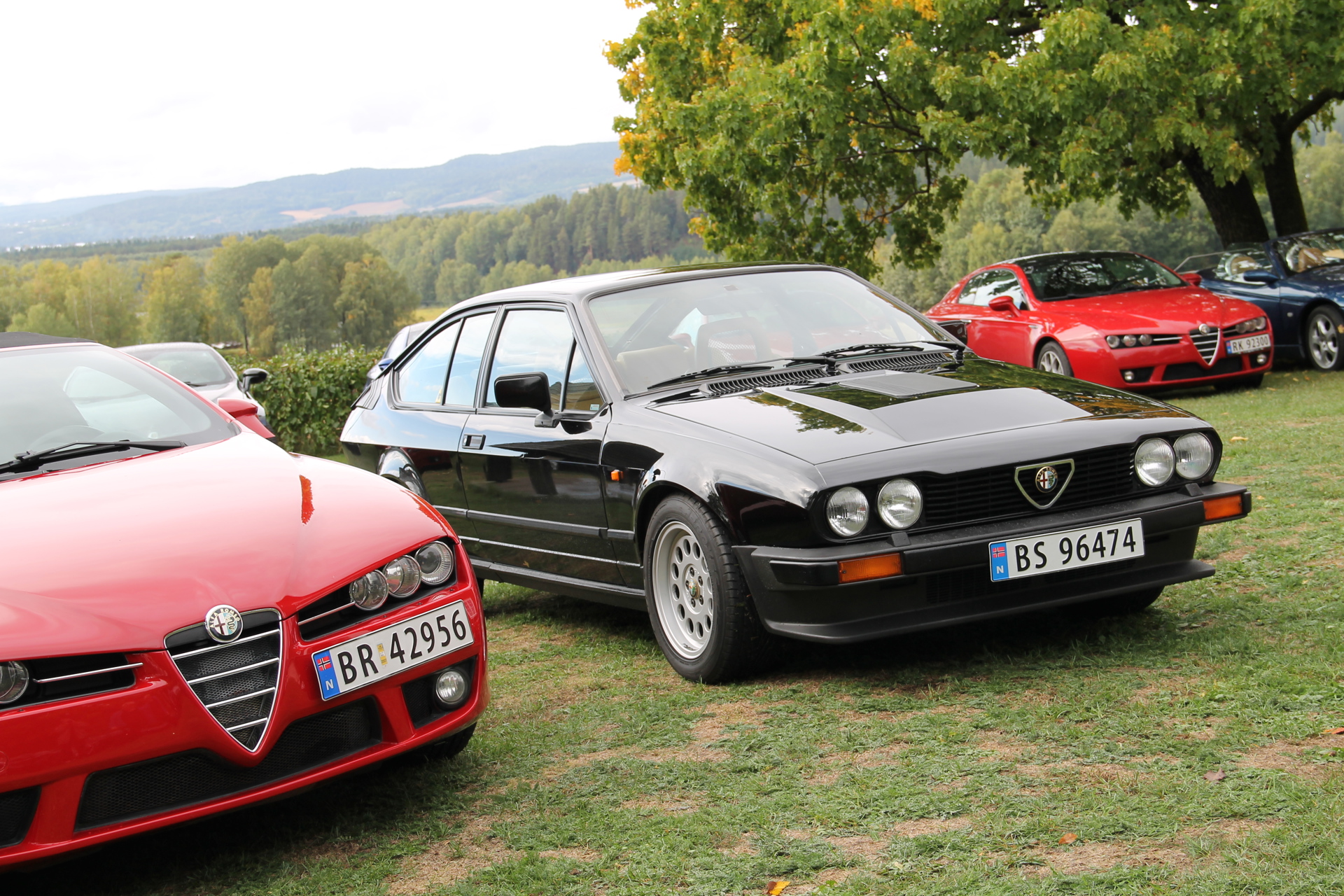 GTV6 (13).JPG