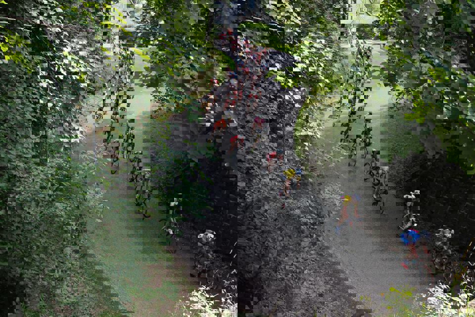 10501834_1473139832926461_2044767280337565554_n.jp
