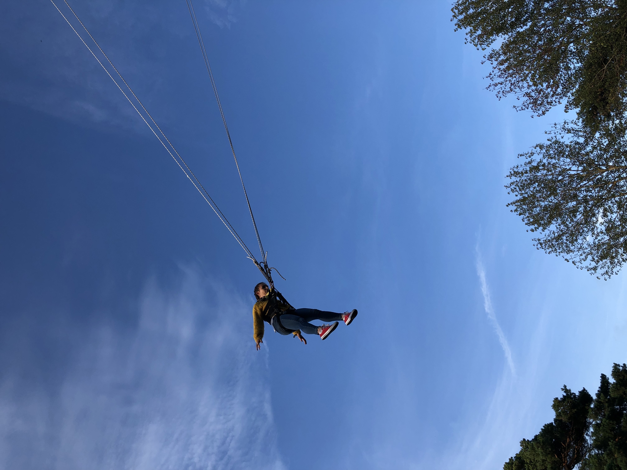 2019-08-24 19.25.03.jpg