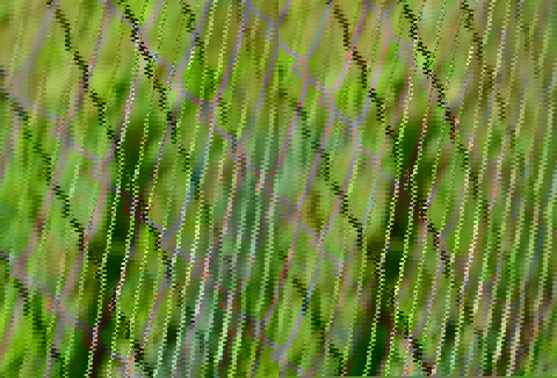 1078739_10200212499227575_1181000305_o.jpg