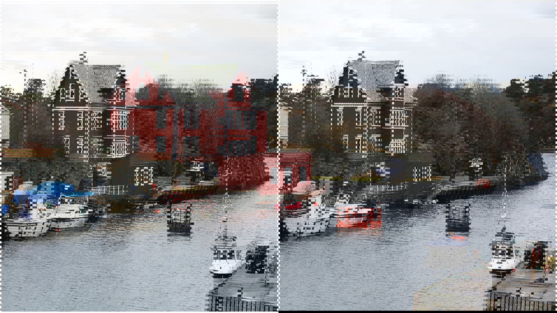 12068658_1675752206002820_4891813324628481003_o.jp
