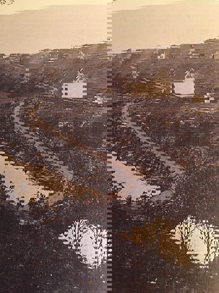 12794370_1271021276244923_8838271227348877635_n.jp
