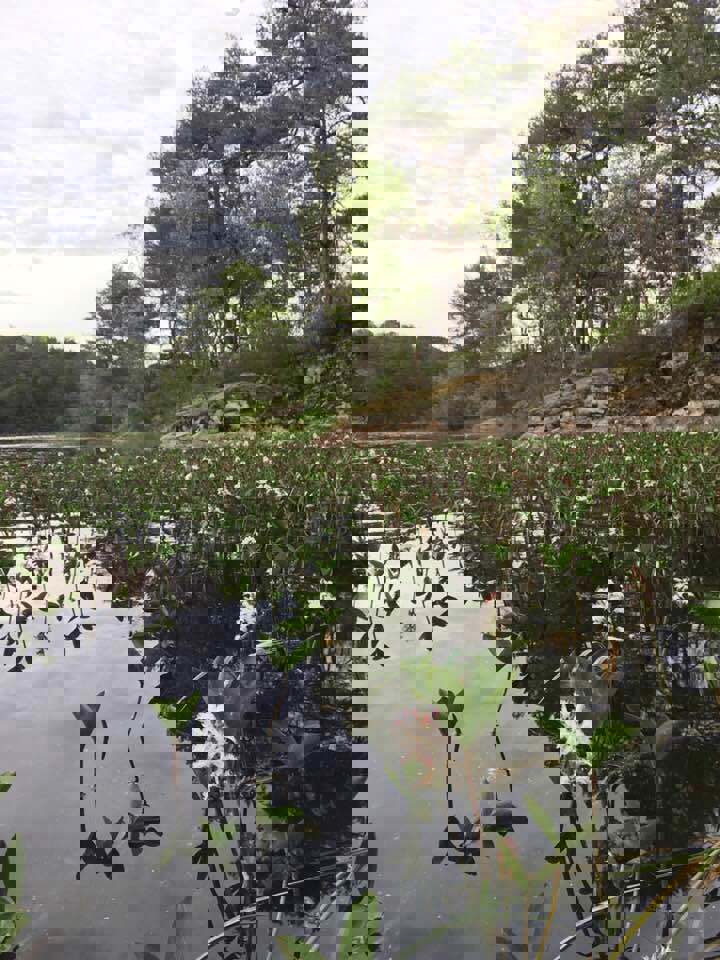60558099_10218744352310762_5840302636544294912_n –