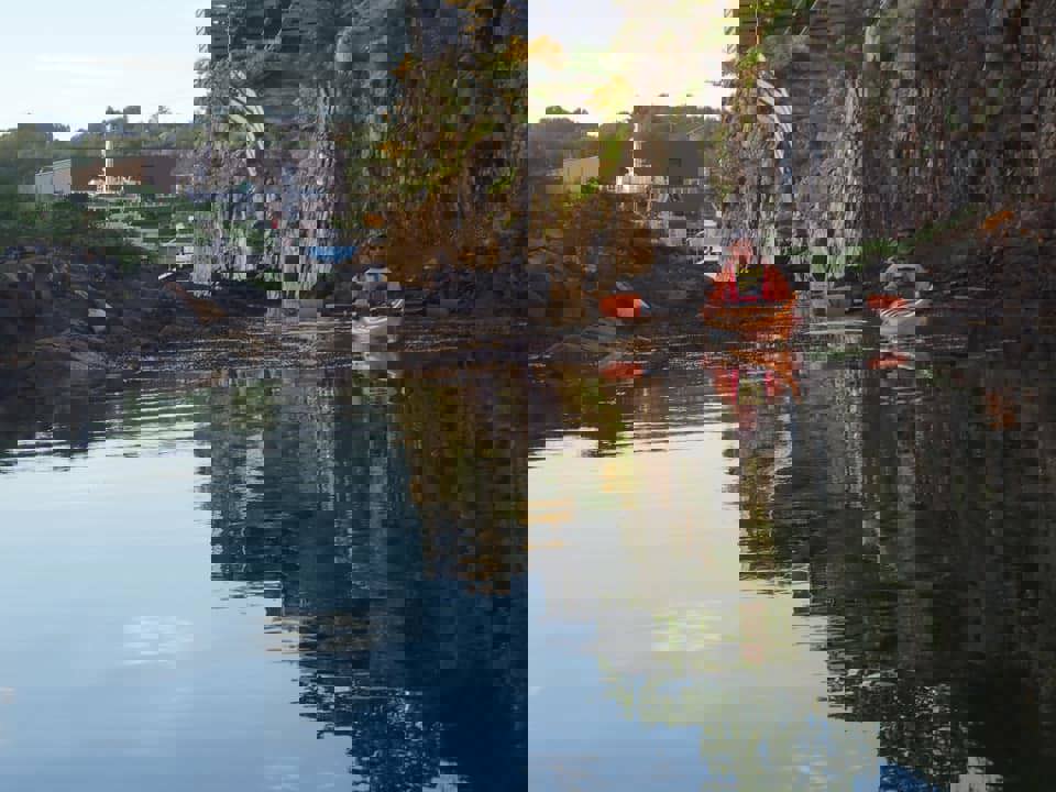 64208092_10213535794021618_2551922911329910784_n –