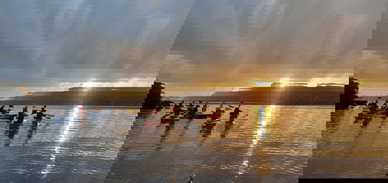 71468184_2468400413208730_9119512121250414592_o – 