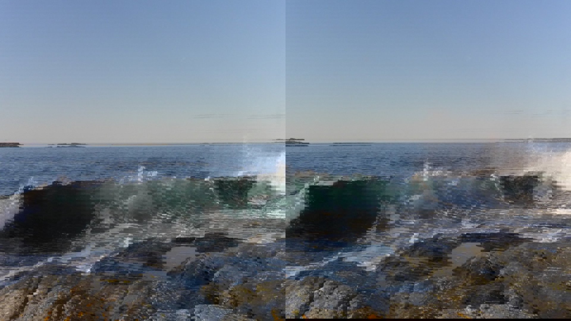 74414589_2443837542604886_3117954181663555584_o – 