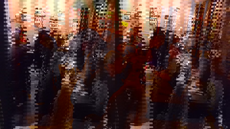 12832569_1698157380473503_459271122798079606_n.jpg