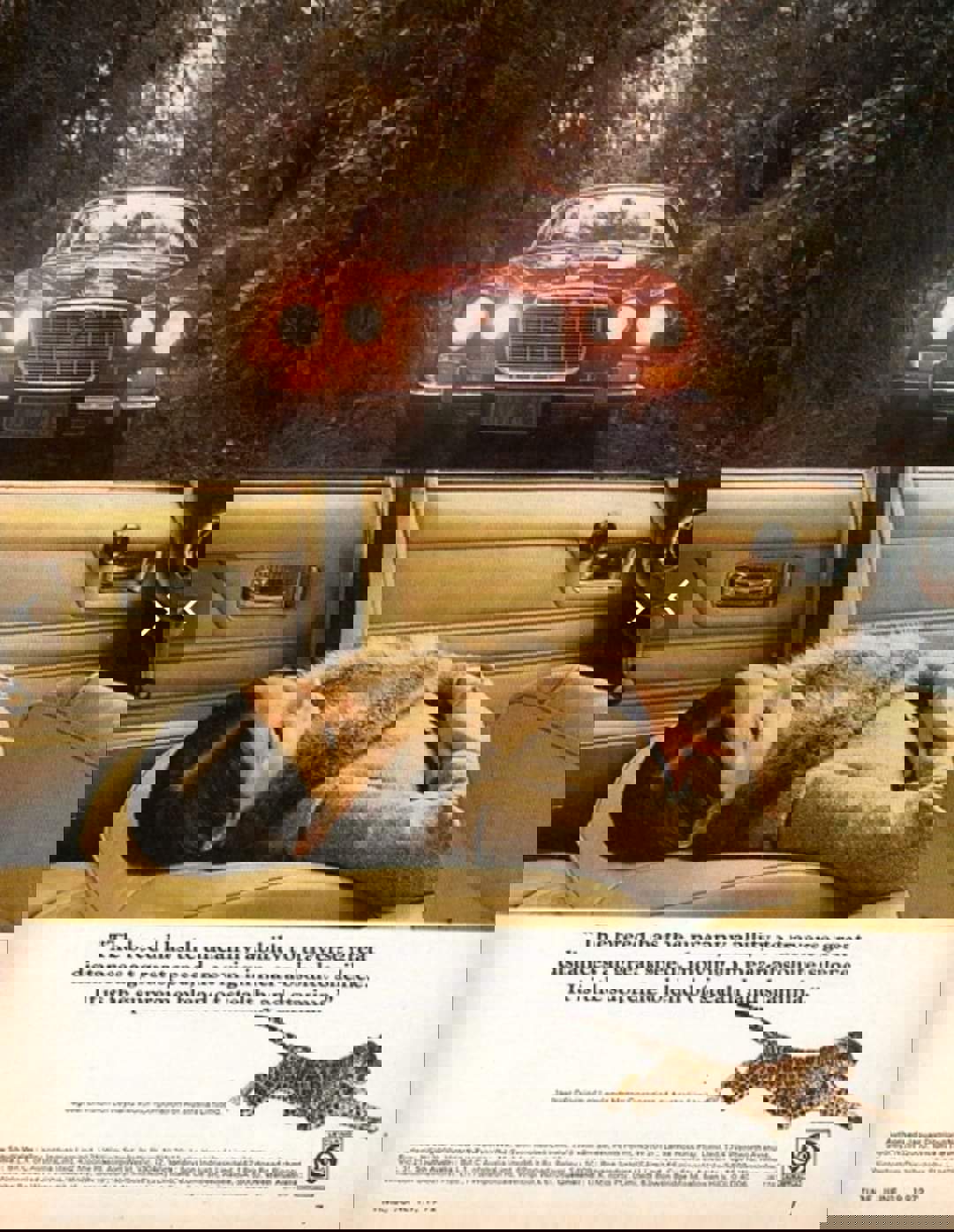 2019-10-21 22.22.52.jpg