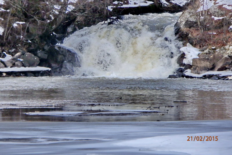 l-p2210016.jpg