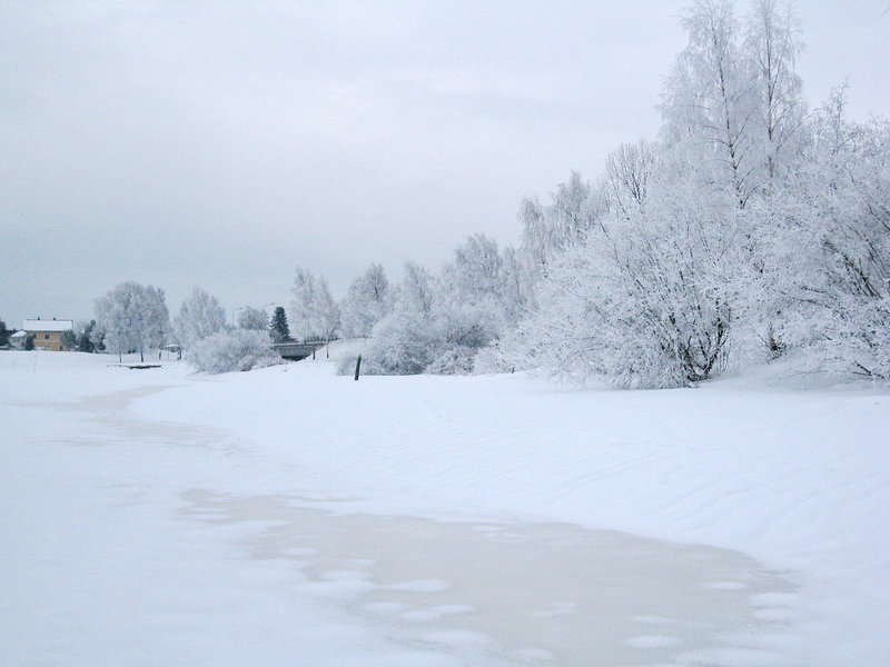 img_00115.jpg
