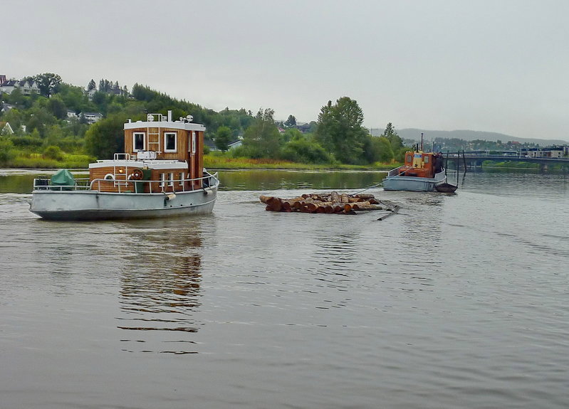 flote5.jpg