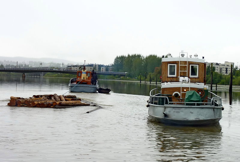 flote8.jpg