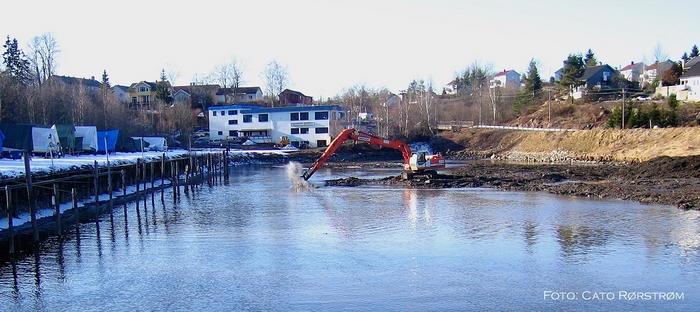 mudring_6mar08_c.jpg