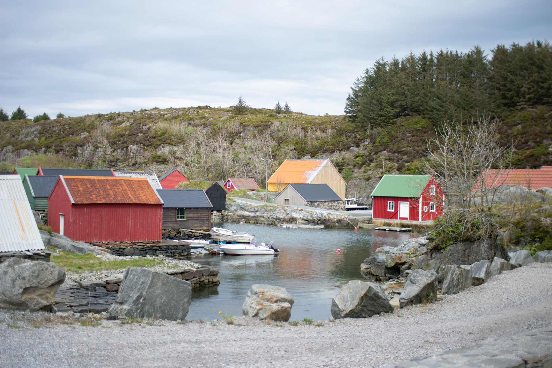 DSC_0117.jpg
