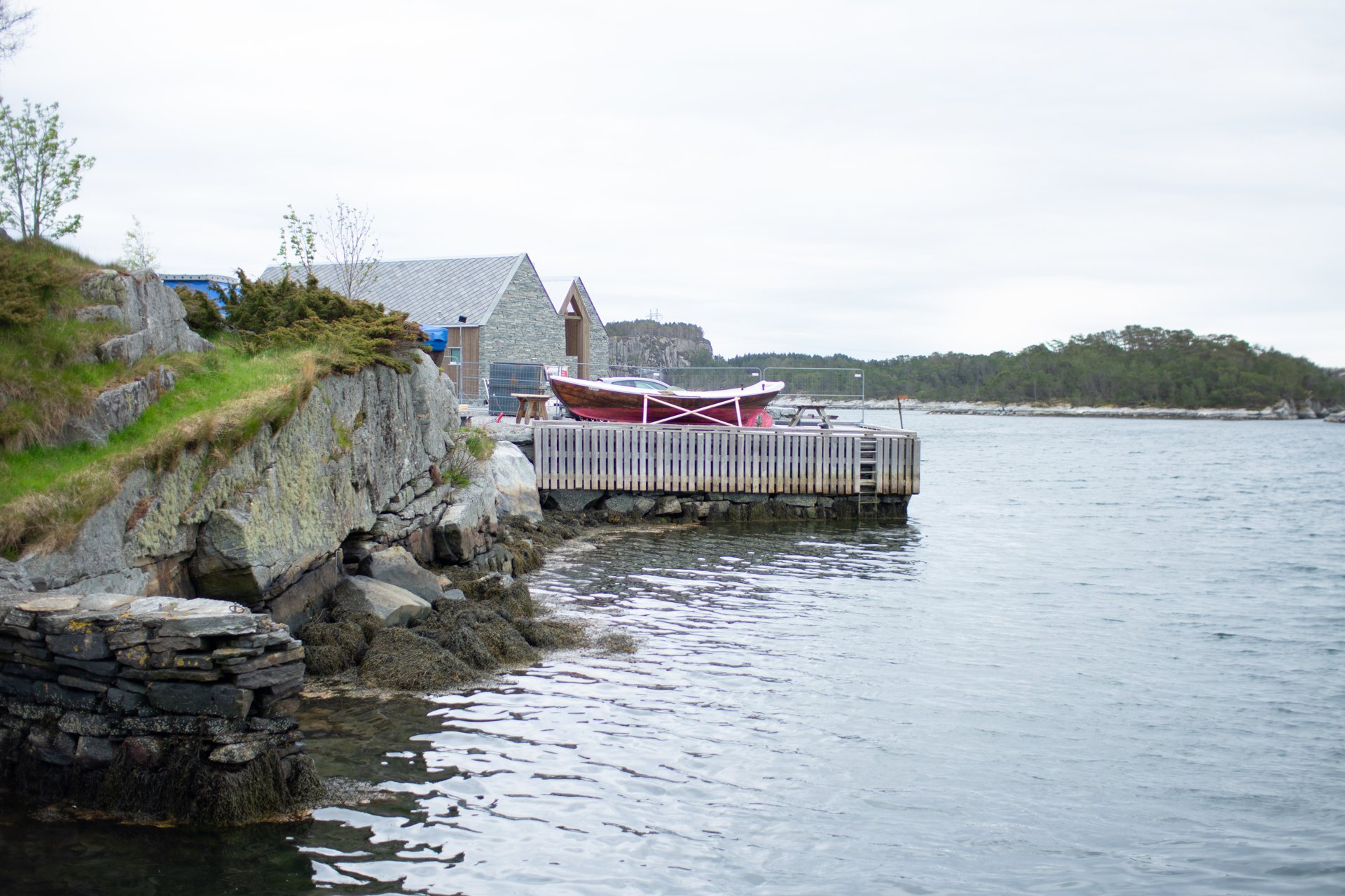 DSC_0118.jpg