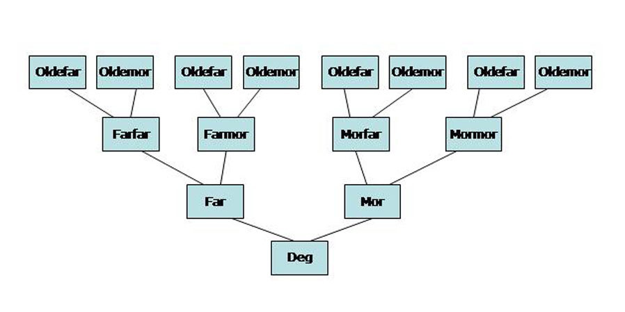 Slektsgransking i historielaget