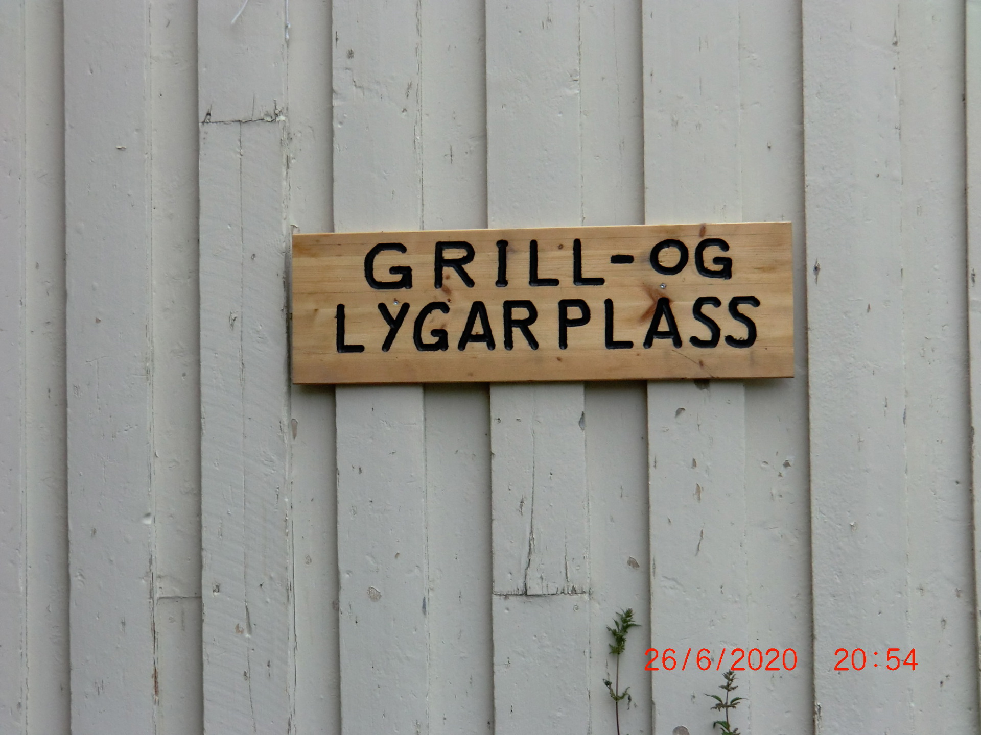 CIMG0962.JPG