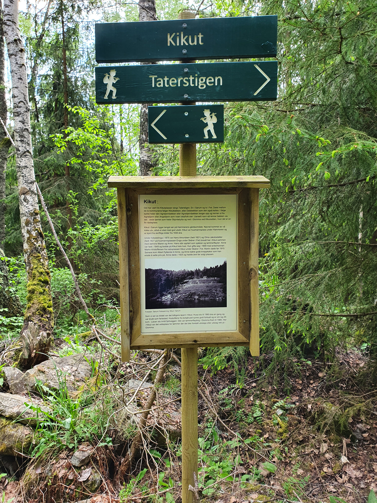 3-4-kikut1.jpg