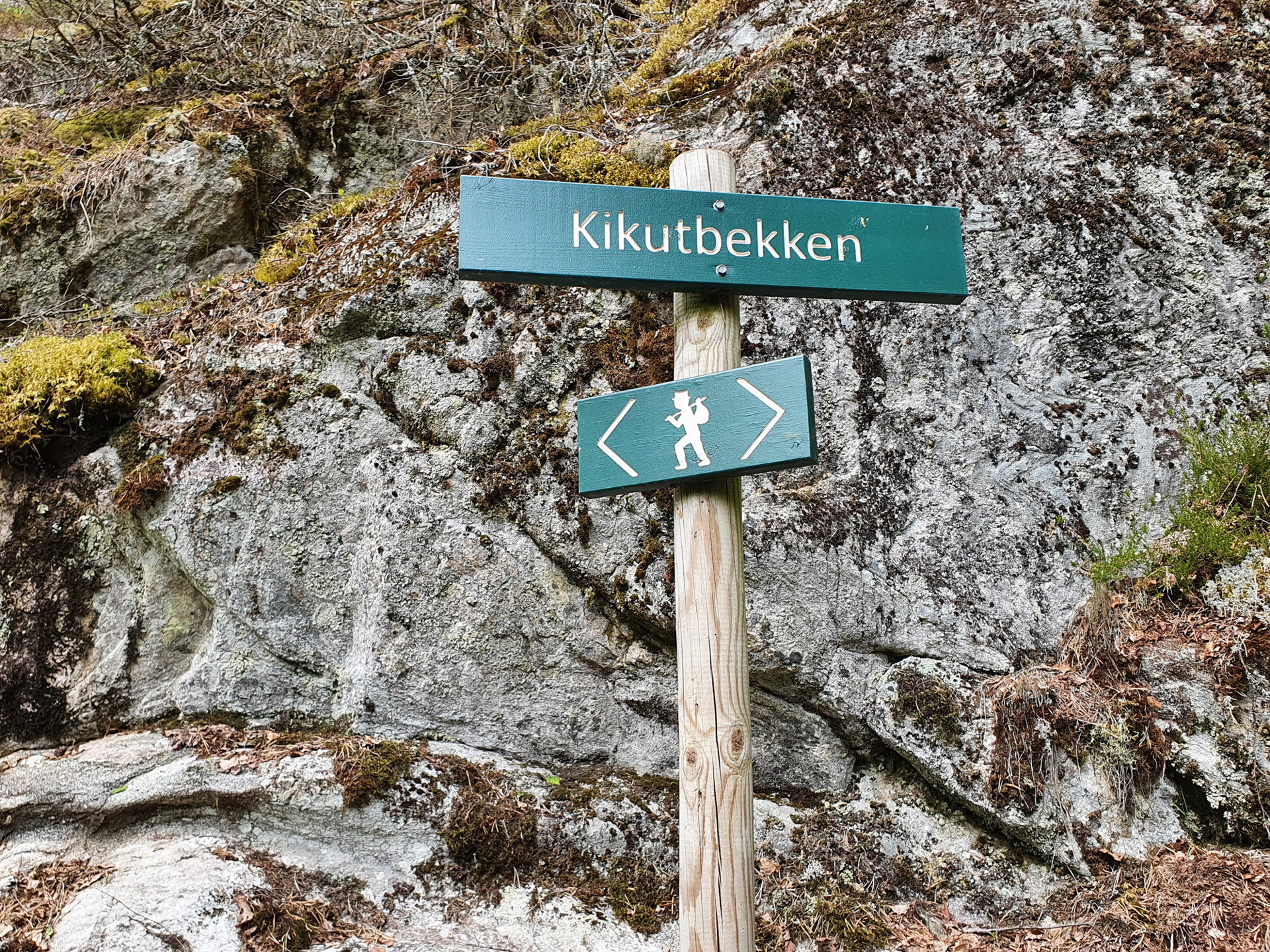3-5-kikutbekken1.jpg