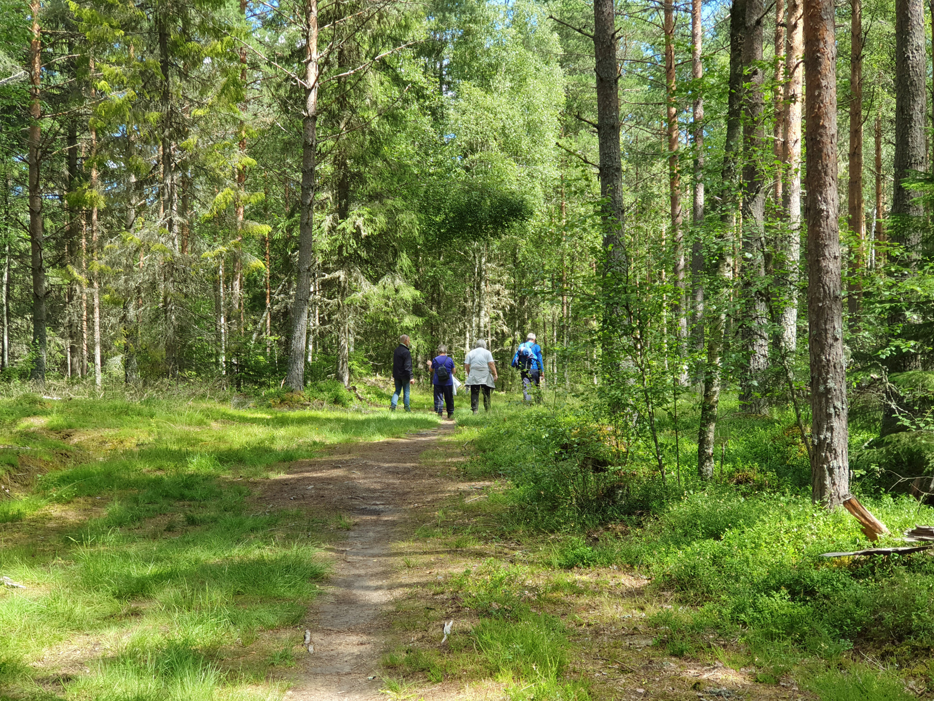 5-4-tur1.jpg