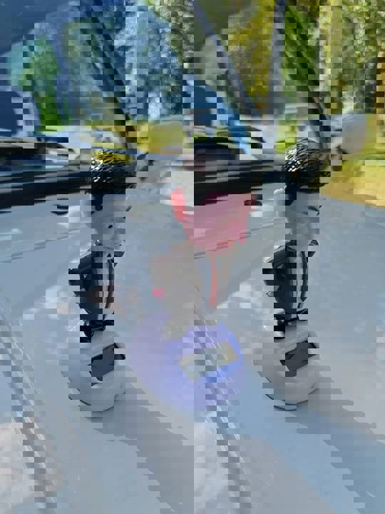 117545736_10221088572635325_6621196400780478203_n.