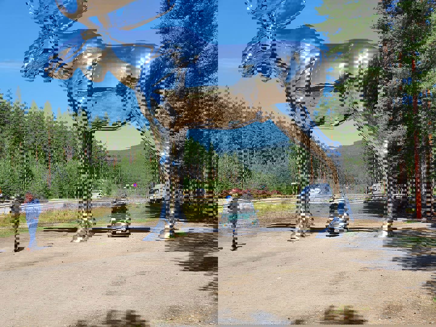 117615075_10223512118859408_7641860455203128103_o.