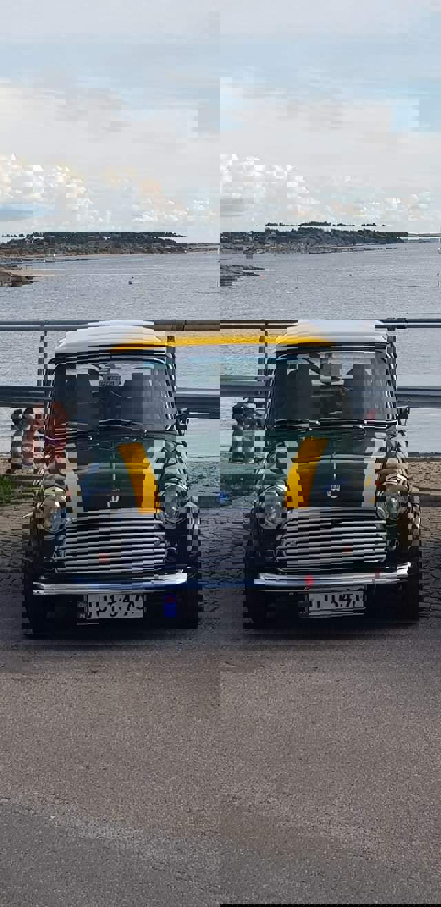 118702220_10157387685386782_5286380508540799236_o.